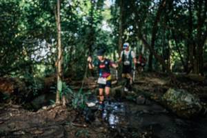 BIB: 
                            <button type="button" onclick="openModal(25747477)" class="btn btn-primary btn-sm float-right btn-popup" data-toggle="modal" data-target=".modal-high-quality">
                        <i class="fas fa-shopping-cart"></i> Add to Cart
                    </button>
                                            <button type="button" onclick="isThisMe(25747477, true)" class="btn btn-success btn-sm float-right btn-popup btn-isme hidden" data-toggle="tooltip" data-placement="bottom" title="นี่คือรูปของคุณใช่ไหม คลิกที่นี่เพื่อเอาเข้าอัลบั้ม">
                        <i class="fas fa-plus"></i> Add to album
                    </button>
                    <button type="button" onclick="isThisMe(25747477, false)" class="btn btn-warning btn-sm float-right btn-popup btn-isnotme hidden">
                        <i class="fas fa-ban"></i> Remove from album
                    </button>